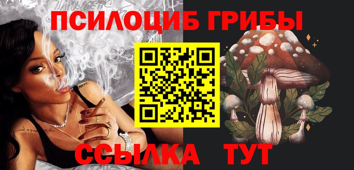 Нижний Новгород  Галлюциногенные грибы ЛСД  Галлюциногенные грибы Psilocybine cubensis  где продают наркотики  Вход с VPN 